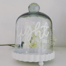 Load image into Gallery viewer, Glass Dome Trio - Limited Edition!