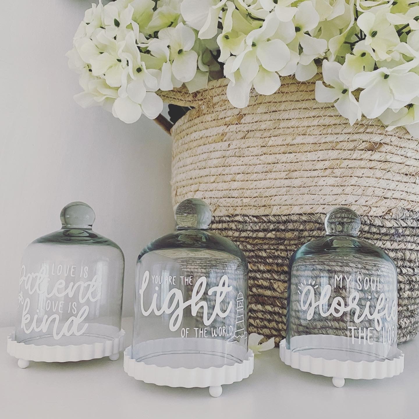 Glass Dome Trio - Limited Edition!