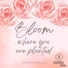 Load image into Gallery viewer, Rose Earrings - ‘Bloom Where You Are Planted’’
